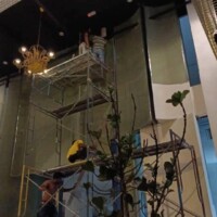Team installing a high ceiling with scaffolding in a commercial space.