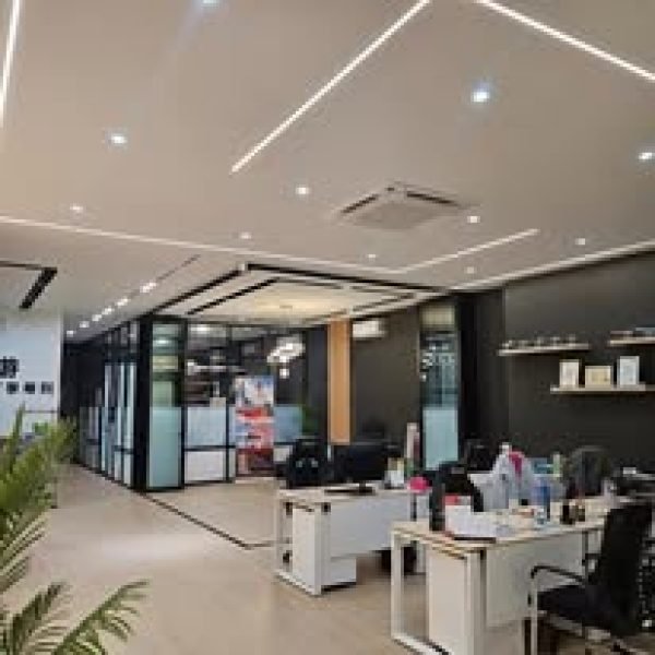 A sleek and modern plaster ceiling installation with integrated lighting and air-conditioning, completed by YK Plasterceil in a commercial office space.
